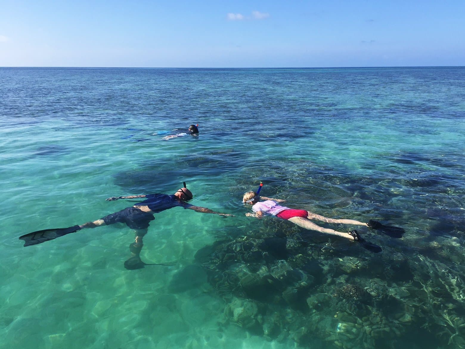 Maritimo Great Barrier Reef