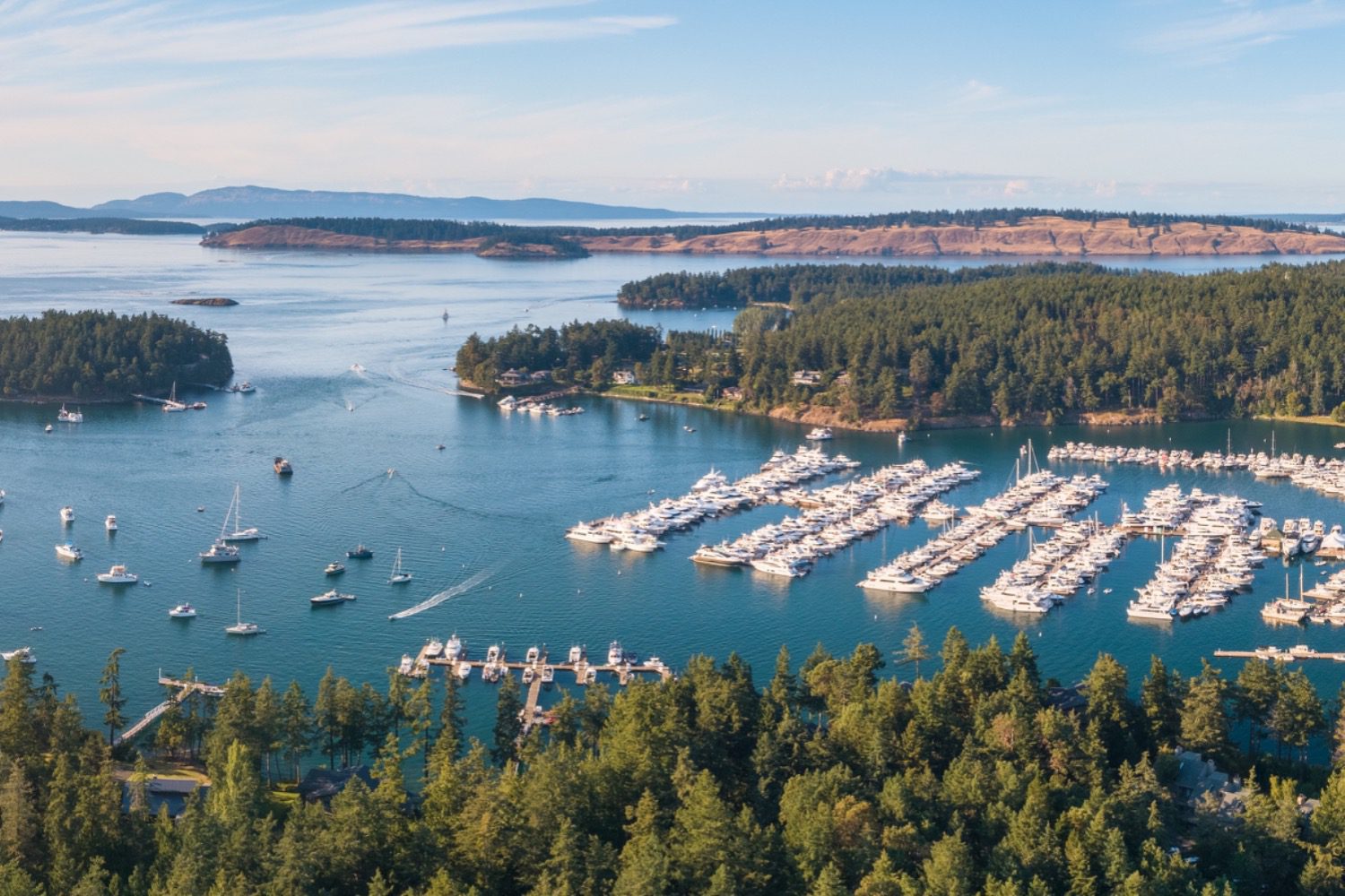 Maritimo Roche Harbor Rendezvous U.S.A 2026 | Overview Page - THURSDAY MAY 14